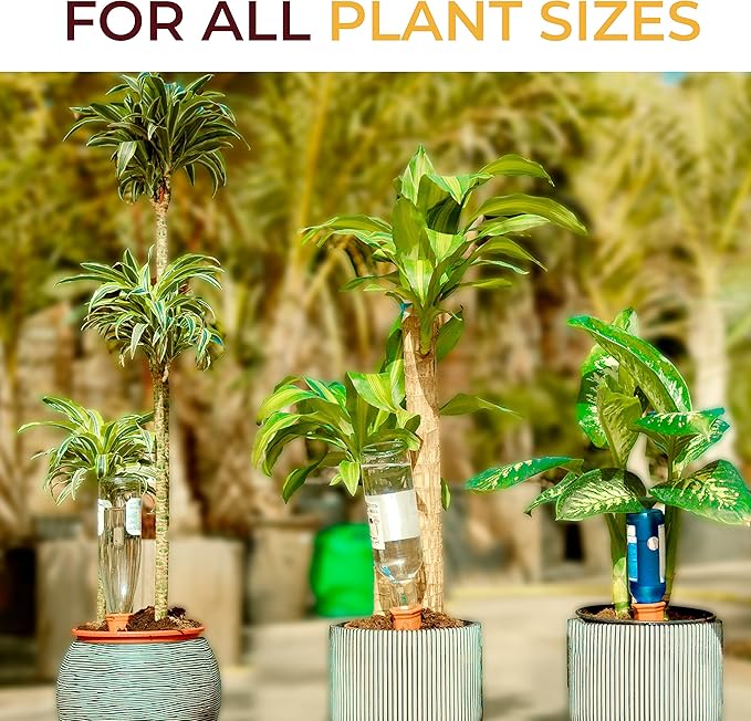 10-Pack Natural Self Watering Spikes - Terracotta - Automatic Plant Waterer for Indoor & Outdoor