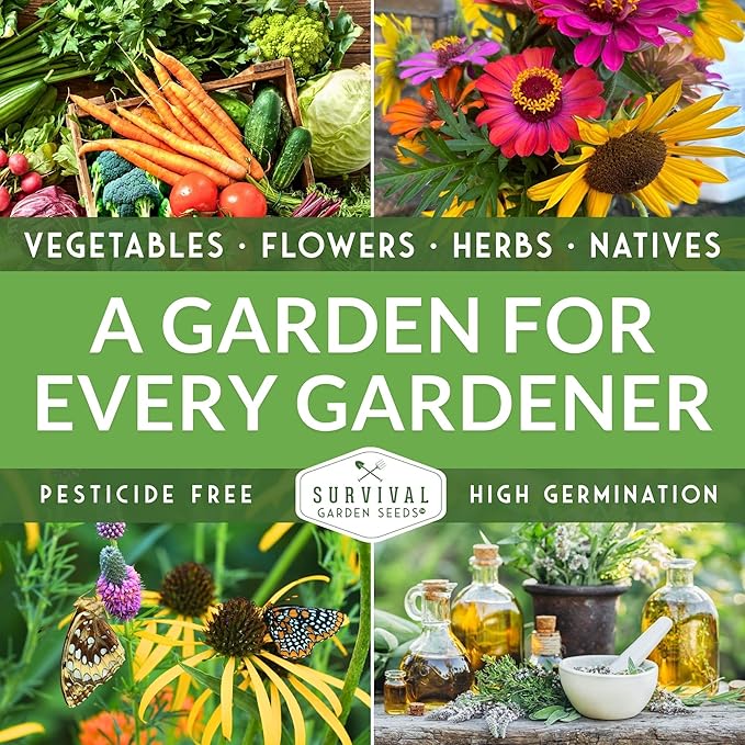 Culinary Herb Seeds Variety Pack for Planting - Grow 18 Heirloom Kitchen Herbs with Basil, Cilantro, Parsley, Dill, Chives, Oregano, Sage, Rosemary, Mint - Indoor or Outdoor - Survival Garden Seeds