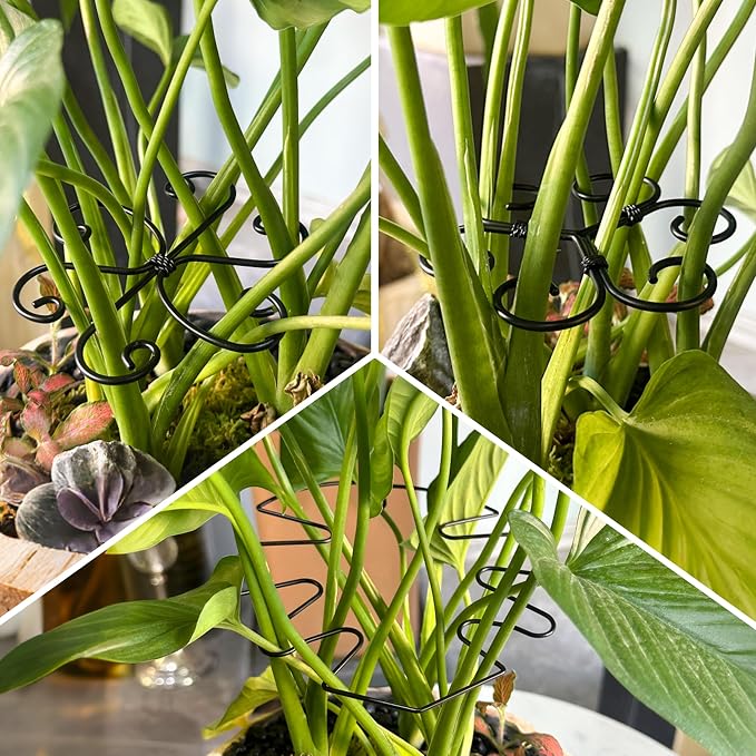 4PCS Metal Heart Stakes for Indoor Plants, 4.1 * 3.7 in Stackable Monstera Stem Support Hook for Growth, Stabilizer for Leaves & Adjustable Clamp Set Accessories for Climbing Plants (Heat)