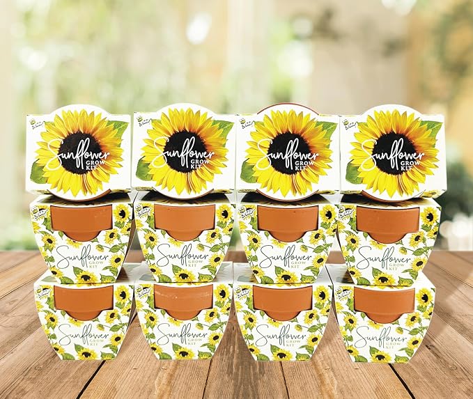 BUZZY Seeds All-in-One Sunflower Grow Kit 12-Pack - Mini Terracotta Pot Grow Set - Complete Indoor/Outdoor Gardening Kit with Seeds, Coconut Husk Growing Medium & Genuine Pots - 100% Grow Guarantee
