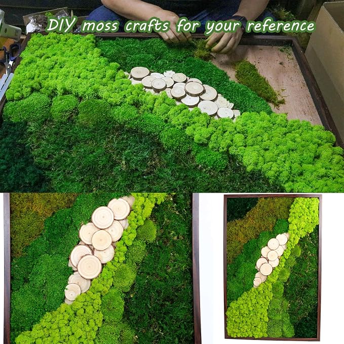 1.5 Sq. Ft. Preserved Moss Pole Decorative Moss for Crafts, Art, Wall Decor,Dark Green