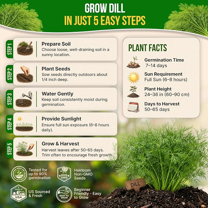 Organo Republic Dill Bouquet Seeds Pack 5 G - Over 1,400 Non-GMO Heirloom Dill Seeds for Planting Herbs in Individual Seed Packet, Herbs Seeds for Planting Home Garden Indoor & Outdoor Gardening