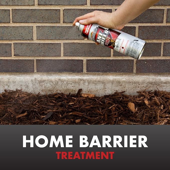 15 Oz Ant Shield Insect Killer Aerosol