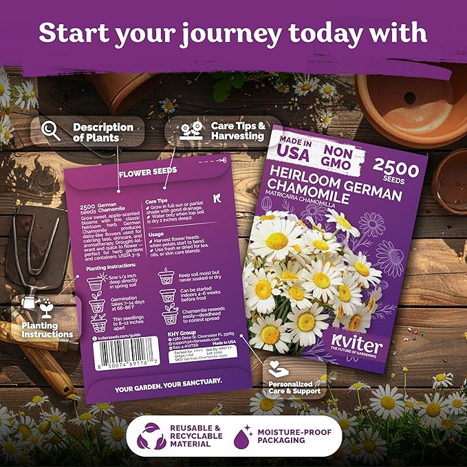 KVITER 2,500 German Chamomile Seeds for Planting (Matricaria Chamomilla/Recutita) – Heirloom & Non-GMO Medicinal Herb Seeds, Flowers for Remedies & Chamomile Tea – Indoors/Outdoors Herb Garden