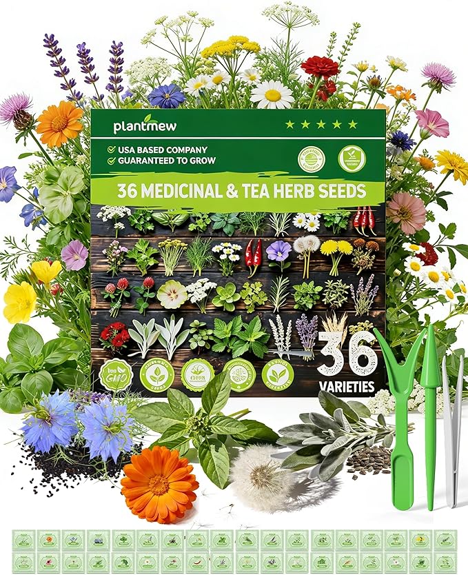 Medicinal Herb Seeds Variety Pack - 36 Non-GMO Herbal Tea Garden Seeds: Chamomile, Lavender, Echinacea, Yarrow, Mugwort for Planting Indoor & Outdoor, Apothecary & Homesteading Supplies