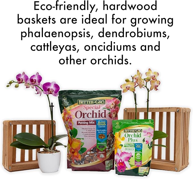 Better-GRO Cedar Slat Vanda Basket - 6 inch Square