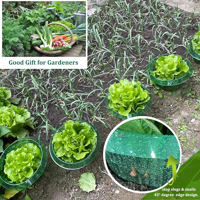 Fshow Garden Cloches，15 Pack Plastic Slug & Snail Plant Protection Collars,Snail Defense Without Chemistry, Snail Collar Protects Plants to Get Better. (Emerald Green)
