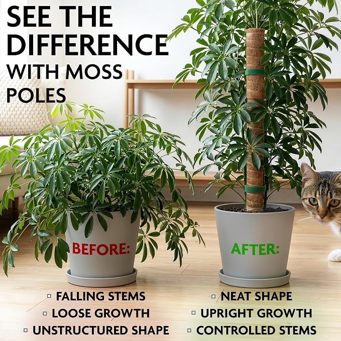 2 Pcs Moss Sticks for Indoor Plants Climbing with Coconut Fiber and Plant Tie Tape - 15.75 Inch Stackable Small Moss Pole for Monstera, Pothos, Philodendron, Money Plants & Indoor Houseplant Vines