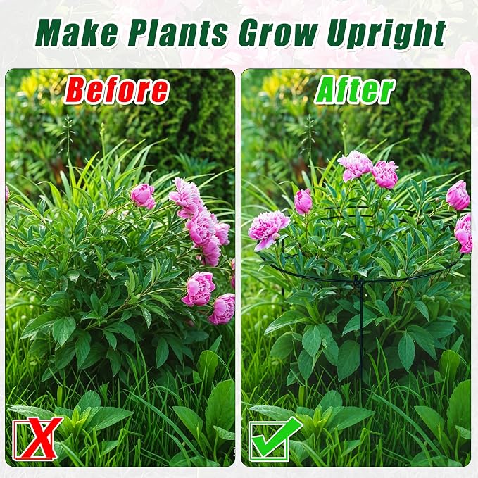 30"H x 13.8"D Peony Cages and Supports, 3 PCS Large Plant Supports for Outdoor Plants, Heavy Duty Metal Peonies Support Cage Peony Rings Hoops Grow Through Plant Brace for Vegetables Roses Tomatoes