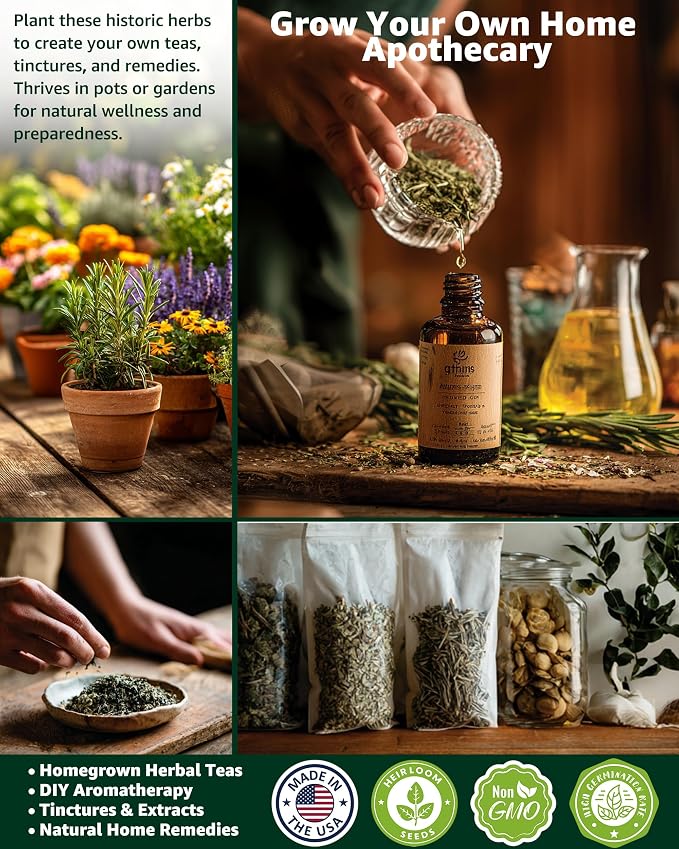 Medicinal Herb Seeds Variety Pack - 36 Non-GMO Herbal Tea Garden Seeds: Chamomile, Lavender, Echinacea, Yarrow, Mugwort for Planting Indoor & Outdoor, Apothecary & Homesteading Supplies