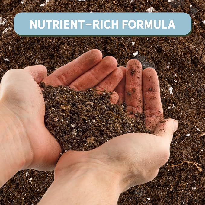 Money Tree Soil (4 Quarts), Potting Mix for Planting/Repotting Pachira Aquatica, All-Natural Custom Soil Blend