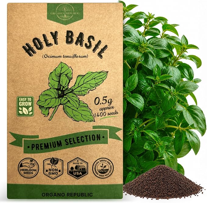 Organo Republic Holy Basil Seeds Pack 0.5 G - Over 1,400 Non-GMO Heirloom Basil Seeds for Planting Herbs in Individual Seed Packet, Herbs Seeds for Planting Home Garden Indoor & Outdoor Gardening