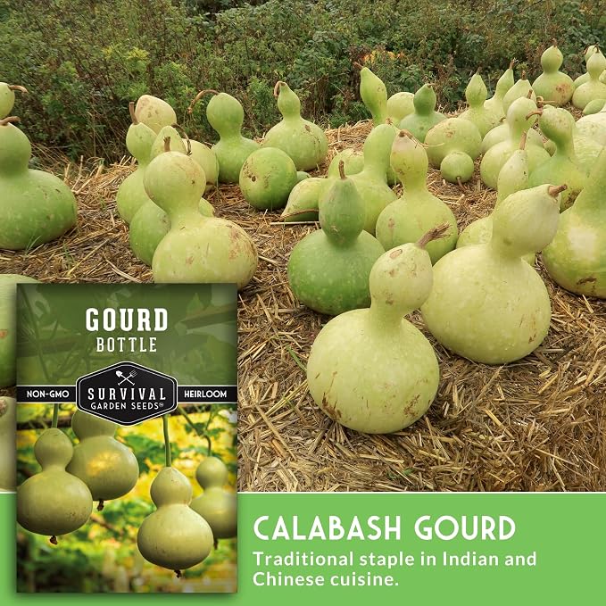 Bottle Gourd Seeds for Planting - Heirloom Calabash Birdhouse Gourds for Gardening, Crafts, Trellises & Edible Young Harvests - Survival Garden Seeds (2 Packs)