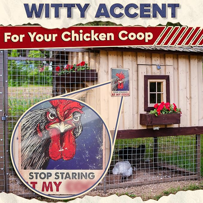 Chicken Coop Sign 8 x 12 Inches – Stop Staring at My Sign, Rooster Decor – Lightweight Durable Tin Metal, Fade-Resistant, Easy to Install, Indoor and Outdoor Use | Chicken Coop Accessories & Gifts