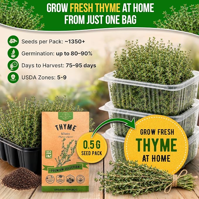 Thyme Seeds Pack 0.5 G - Over 1,350 Non-GMO Heirloom Thyme Seeds for Planting Herbs in Individual Seed Packet, Herbs Seeds for Planting Home Garden Indoor & Outdoor Gardening