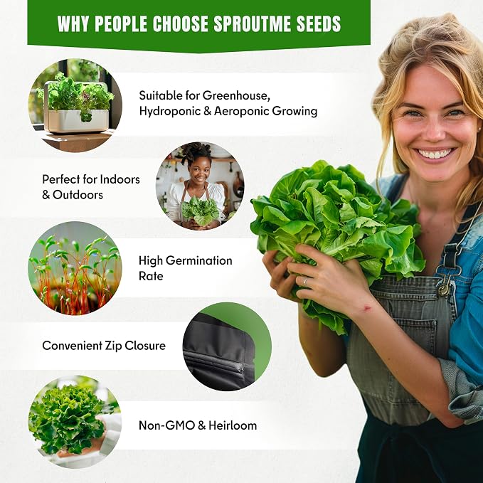 15 Lettuce & Salad Greens & 18 Culinary Herb Seeds Variety Pack Bundle 11200+ Non-GMO Heirloom Garden Seeds for Planting Herbs and Greens