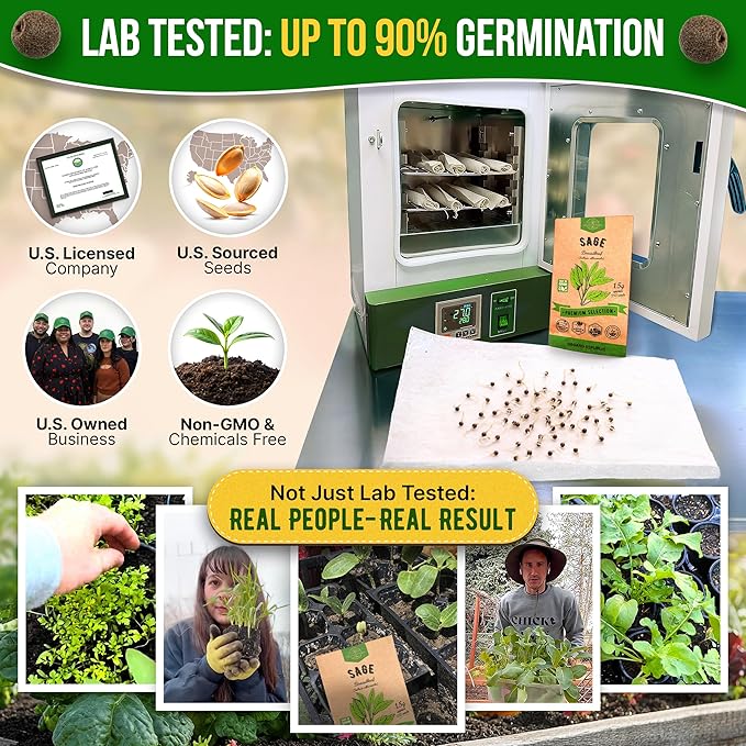 Sage Seeds Pack 1.5 G - Over 250 Non-GMO Heirloom Sage Seeds for Planting Herbs in Individual Seed Packet, Herbs Seeds for Planting Home Garden Indoor & Outdoor Gardening