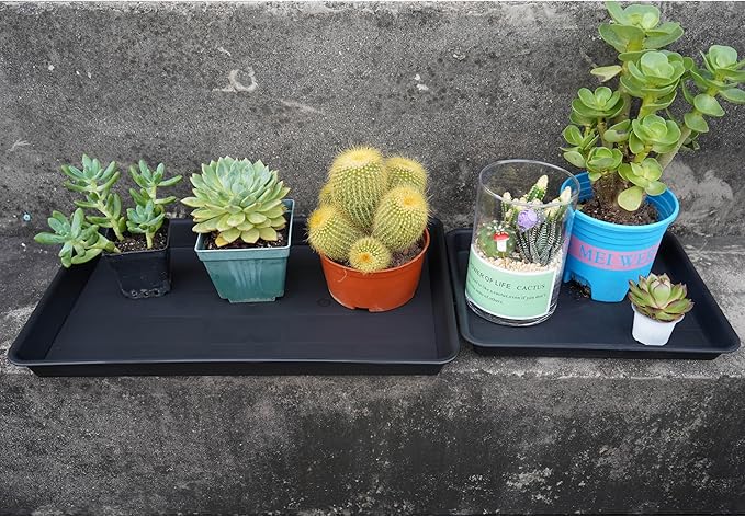 VUWEZ Plant Growing Trays 2 Pack, Plant Tray, 14.5"x11", Heavy Sturdy Plastic Plants Saucer, Seedling Starter Trays, Seed Starter Growing Tray (Black)
