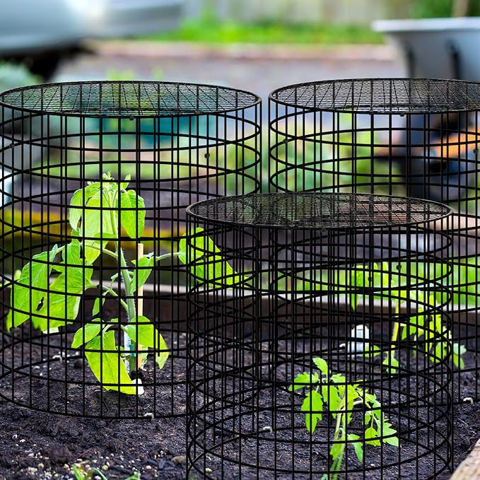 Hi Sasara 5 Sets Wire Plant Protectors Cage with Staples,11.8" Dia x 11.8" H,Plant Protector with Round Lids to Keep Animals Out,Wire Plant Protector Cage for Plants Vegetables Flower