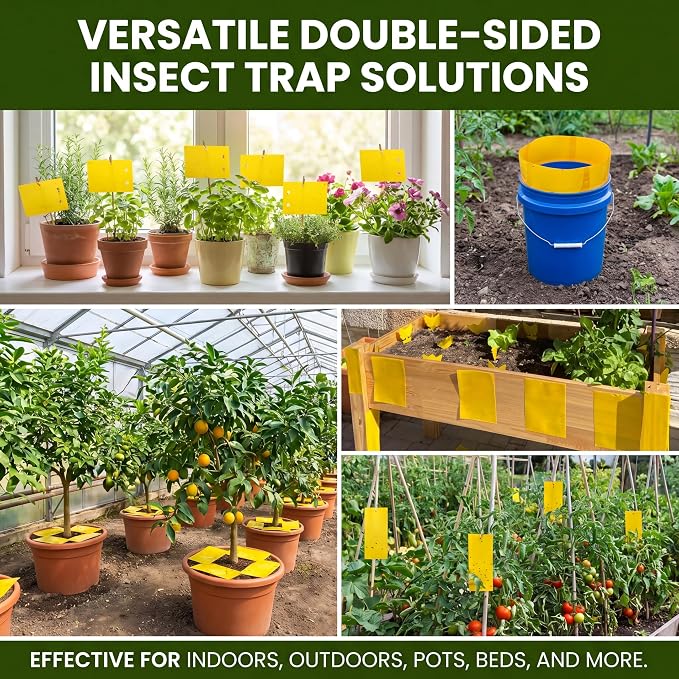 Qualirey 9.8 x 5.9 Inch Large Yellow Sticky Traps for Gnats Double Sided Sticky Trap for Plant Whiteflies, Aphids, and Black Flies with Twist Ties,Indoor and Outdoor (150 Pcs)