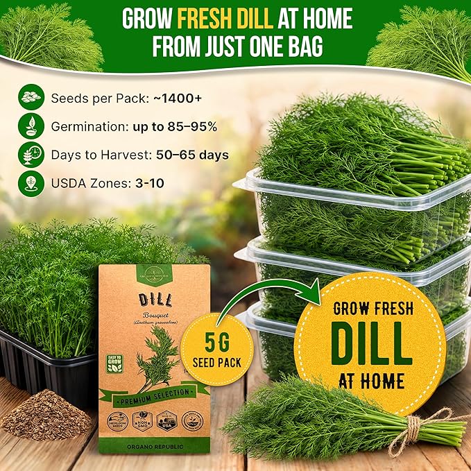 Organo Republic Dill Bouquet Seeds Pack 5 G - Over 1,400 Non-GMO Heirloom Dill Seeds for Planting Herbs in Individual Seed Packet, Herbs Seeds for Planting Home Garden Indoor & Outdoor Gardening
