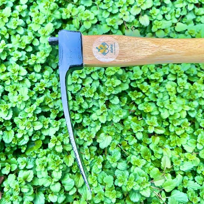 alanx 14 Inch Heavy Duty Wide Hoe, Japanese Carbon Steel with Oak Wooden Handle, Without Welding, Garden Tool for Digging, Weeding, and Planting