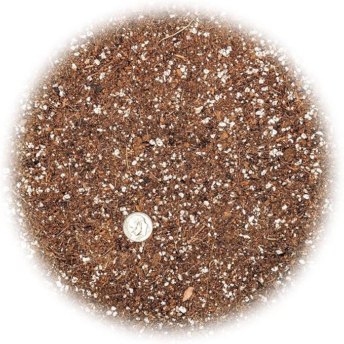 Gardenera Premium Raspberry Potting Soil Mix - Optimal Blend for Thriving and Juicy Berries - 10 Quart