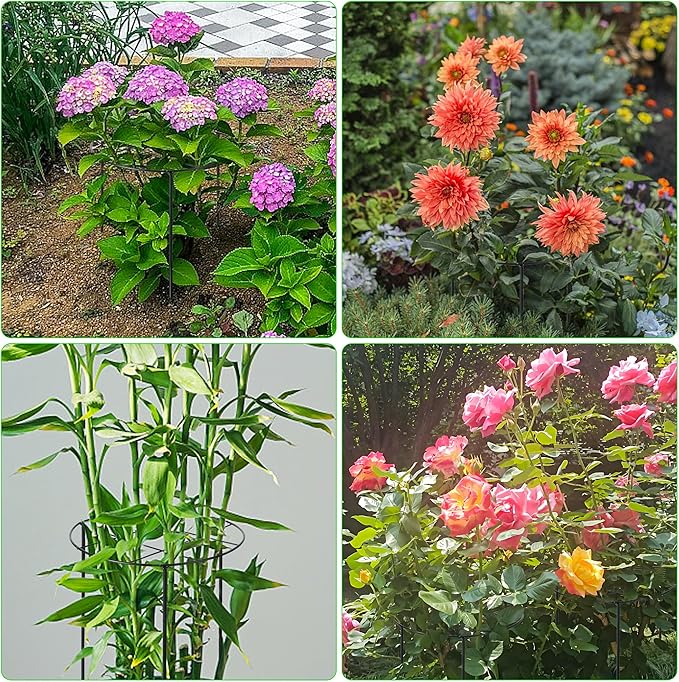 3 Pcs Large Peony Cages and Supports, 31.5"H x 12.6"D Grow Through Plant Support for Outdoor Plants, 7mm Stake Heavy Duty Metal Peonies Support Cage Peony Ring Plant Grid for Vegetables Roses Tomatoes