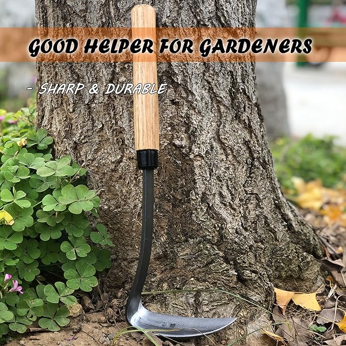 Japanese Weeding Sickle Hoe Gardening Tools 13-Inch Weed Remover Tool High-Carbon Steel One-Piece Molding with Hard Solid Wood Handle(Snake-Necked)