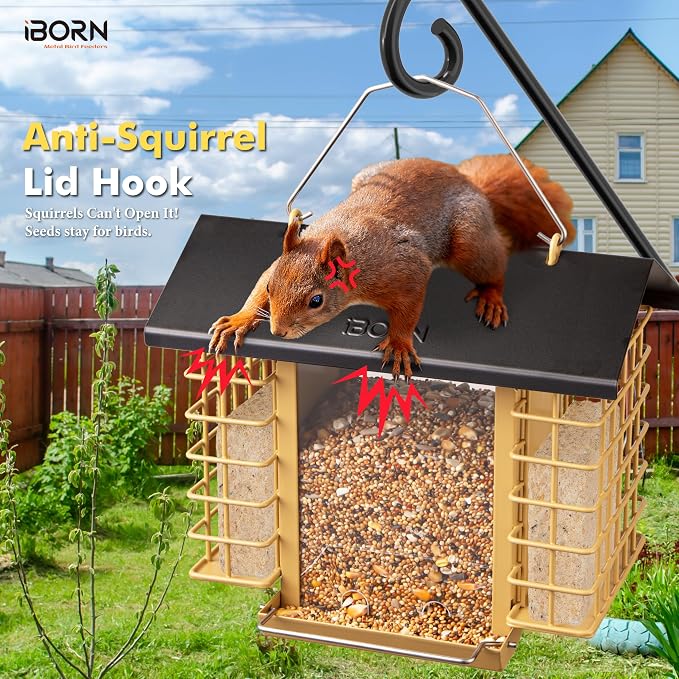 iBorn Bird Feeders for Outdoors,Bird Feeder with Double Suet Holders,Suet Feeder for Outside,Weatherproof Metal Roof,Easy to Refill&Clean,3.2 LBs Seed Capacity+2X Cakes,1 Pack,Black Roof & Yellow Grid