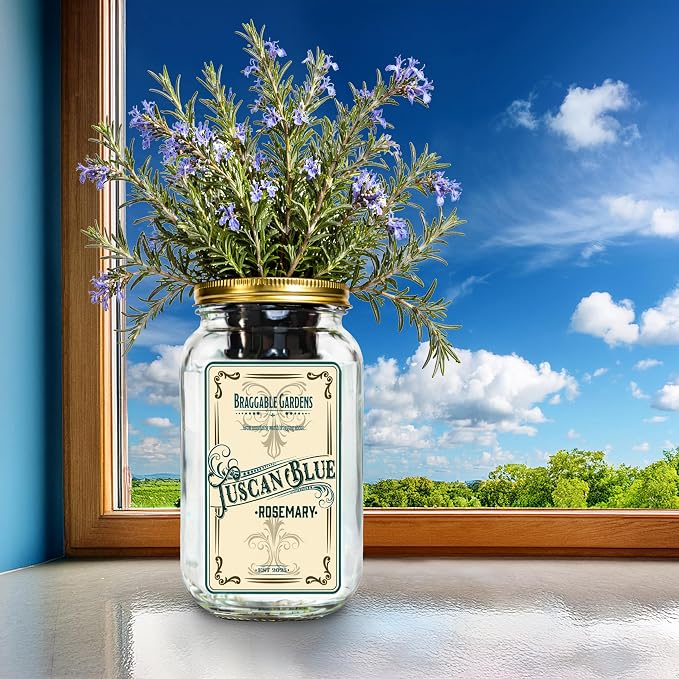 Tuscan Blue Rosemary Indoor Herb Garden Kit – Mason Jar Hydroponic Grow Kit – Countertop Windowsill Herb Planter – Self Watering Kitchen Herb Garden