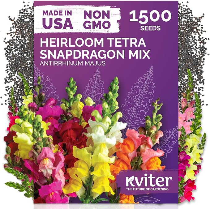 KVITER 1,500 Tetra Mix Snapdragon Seeds (Antirrhinum Majus) – Heirloom & Tall Snap Dragon Mix, Annual Flower Garden Seeds, Cut Flower Seeds for Planting – Ideal for Outdoor Garden & Containers