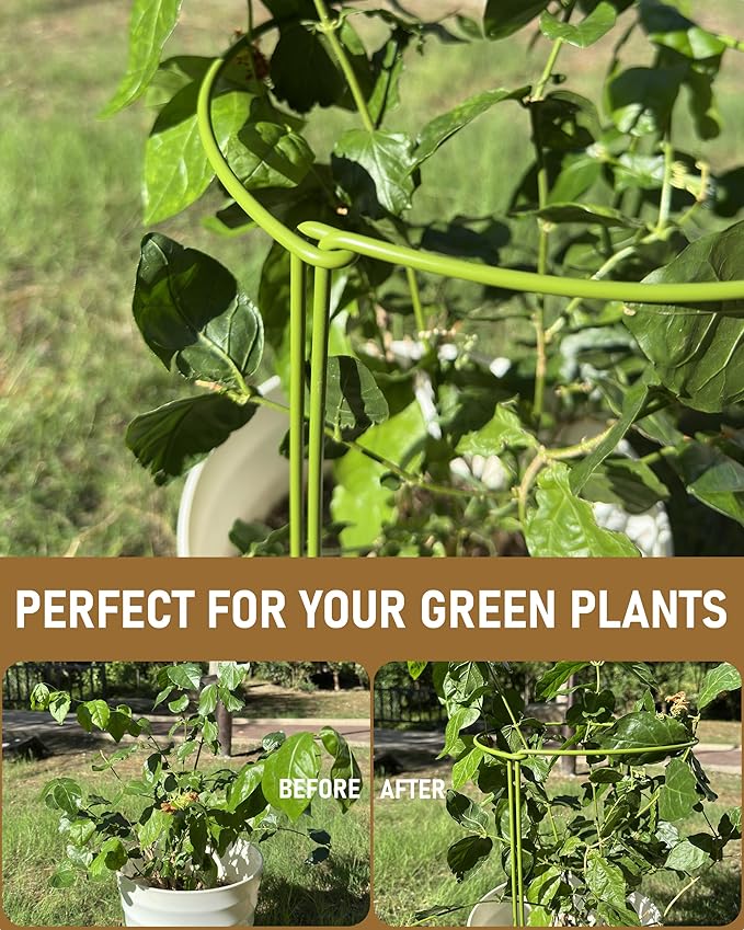 12-Pack Plant Support Stakes, Steel Stakes for Indoor Plants, Monstera & Peony Support, Tall Plant Sticks for Snake Plant, Climbing Vines, Metal Garden Stakes (10" W x 15.8" H)