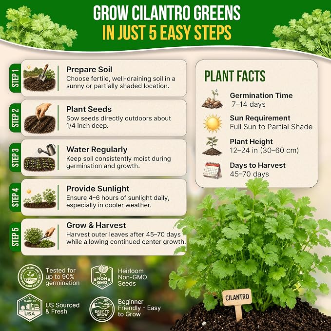 Cilantro Seeds Pack 5 G - Over 550 Non-GMO Heirloom Cilantro Seeds for Planting Herbs in Individual Seed Packet, Herb Seeds for Planting Home Garden Indoor & Outdoor Gardening