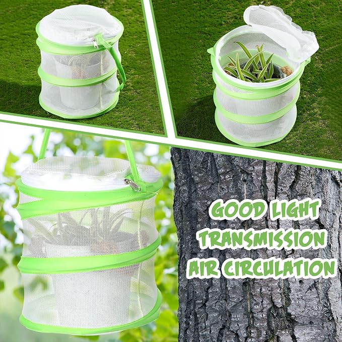 Sherr 50 Pcs Mini Butterfly Habitat Cage Clear Mesh Butterfly Net Cage Container Foldable Terrarium, 6.2x7.1inch (Green)