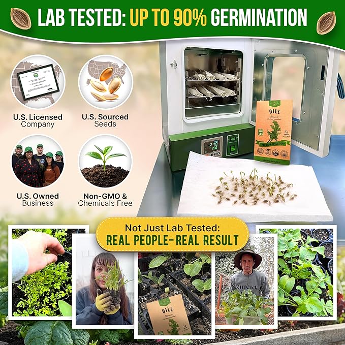 Organo Republic Dill Bouquet Seeds Pack 5 G - Over 1,400 Non-GMO Heirloom Dill Seeds for Planting Herbs in Individual Seed Packet, Herbs Seeds for Planting Home Garden Indoor & Outdoor Gardening