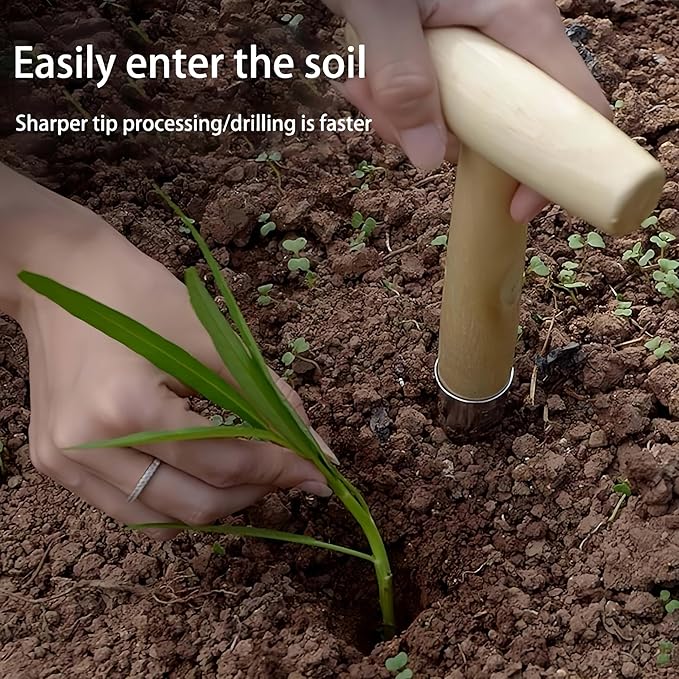 Stainless Steel Dibber Planter Tool for Planting Seeds & Bulbs - Comfortable Wood Carved Handle - for Consistent Planting Flowers Tulips, Daffodils, Dahlias(1 pcs)
