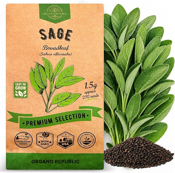 Sage Seeds Pack 1.5 G - Over 250 Non-GMO Heirloom Sage Seeds for Planting Herbs in Individual Seed Packet, Herbs Seeds for Planting Home Garden Indoor & Outdoor Gardening