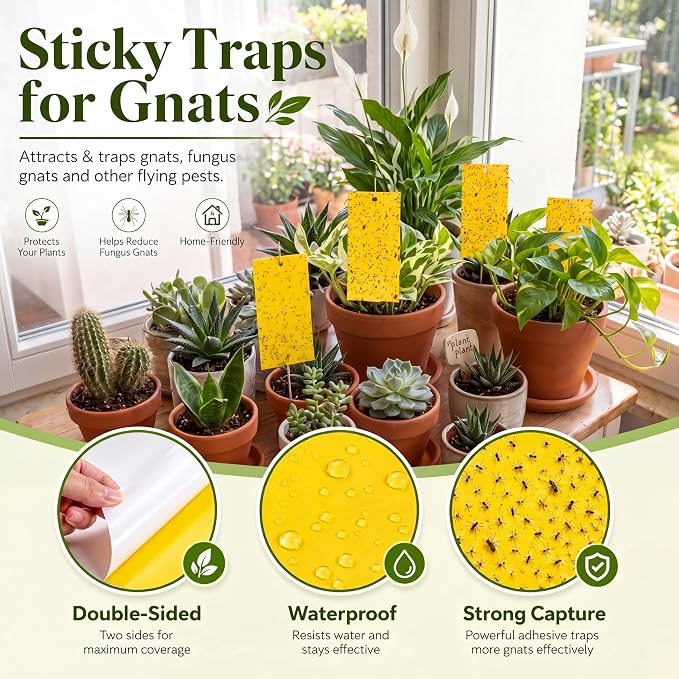Qualirey 9.8 x 5.9 Inch Large Yellow Sticky Traps for Gnats Double Sided Sticky Trap for Plant Whiteflies, Aphids, and Black Flies with Twist Ties,Indoor and Outdoor (50 Pcs)