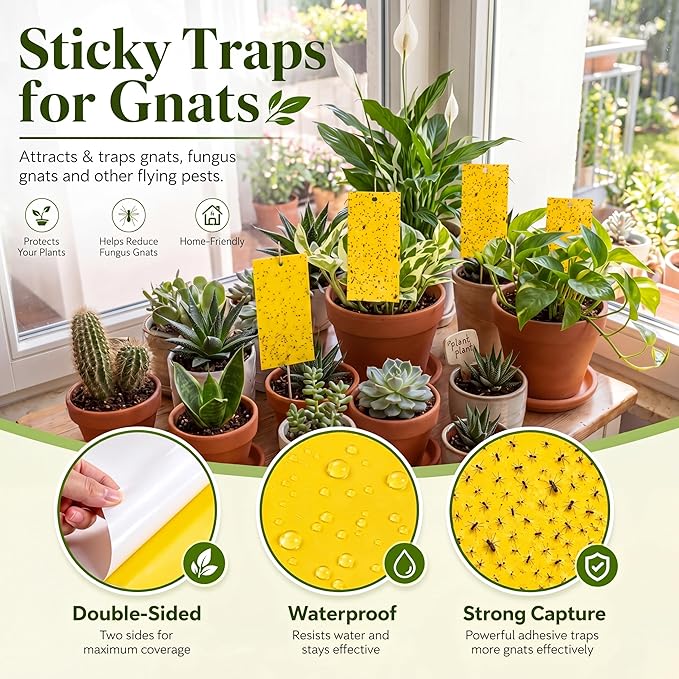 Qualirey 7.8 x 3.9 Inch Yellow Sticky Traps for Plant Double Sided Sticky Trap for Gnats with Twist Ties Fly Traps for Fruit Insect Fungus Bugs Indoor Outdoor (250 Pcs)