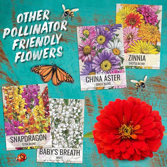 Seed Needs Flower Seeds Cosmos Crazy Blend No Filler 10+ Varieties Cosmos | Cosmo Bipinnatus Open Pollinated Untreated | Resealable Packaging Keeps Seeds Fresh | Bulk Cosmos Flowering Seed Mix