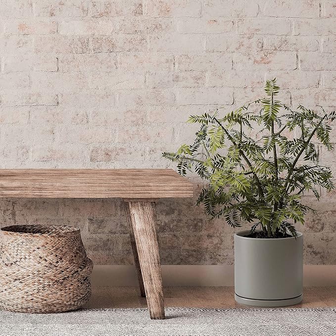 D'vine Dev 10 Inch Ceramic Planter Pot with Drainage Hole and Saucer, Indoor Cylinder Round Planter Pot, Grey, 94-O-E-3