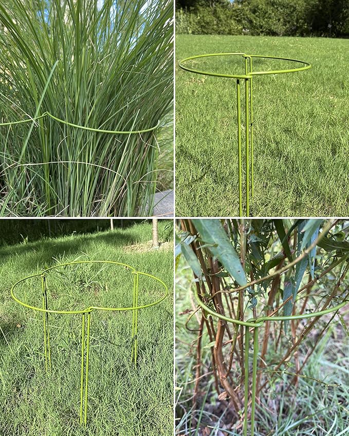 12-Pack Plant Support Stakes, Steel Stakes for Indoor Plants, Monstera & Peony Support, Tall Plant Sticks for Snake Plant, Climbing Vines, Metal Garden Stakes (10" W x 15.8" H)