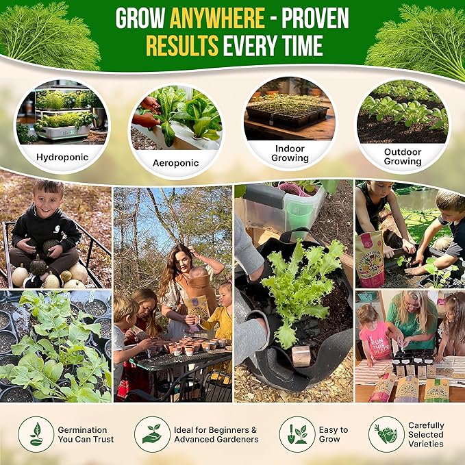 Organo Republic Dill Bouquet Seeds Pack 5 G - Over 1,400 Non-GMO Heirloom Dill Seeds for Planting Herbs in Individual Seed Packet, Herbs Seeds for Planting Home Garden Indoor & Outdoor Gardening