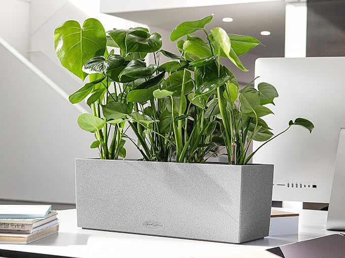 Lechuza BALCONERA Stone 50 Stone Grey, Self-Watering Window Box (Railing Planter), H7.5 L19.7 W7.5 in