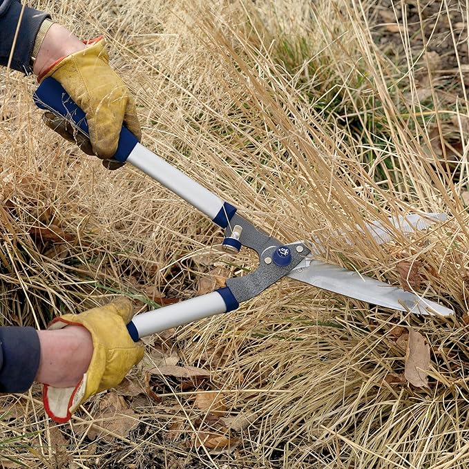 Spear & Jackson Razorsharp Notched Hedge Shears, Professional Garden Tool for Precision Trimming and Shaping, Quality Carbon Steel Blades