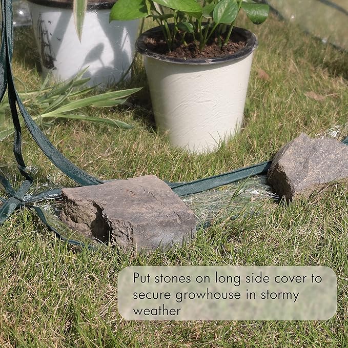 Gardzen 27"x27"x31" Pop up Grow Greenhouse Small Greenhouse, Steel Frame Portable Plant Flowers Mini Green House Zipper Cover for Outdoor & Indoor Use