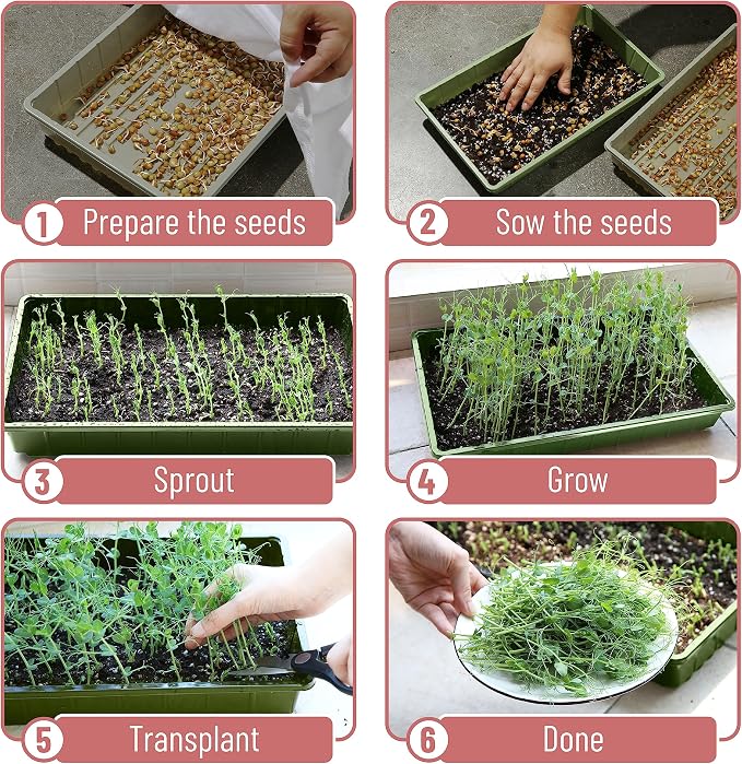 Mr. Pen- Seed Starter Trays, 10 Pack, 17"x10"x2.4", Durable Plastic Growing Trays, Stackable and Reusable Seedling Starter Kits for Indoor, Outdoor, Greenhouse Gardening, Planting, Hydroponic Systems
