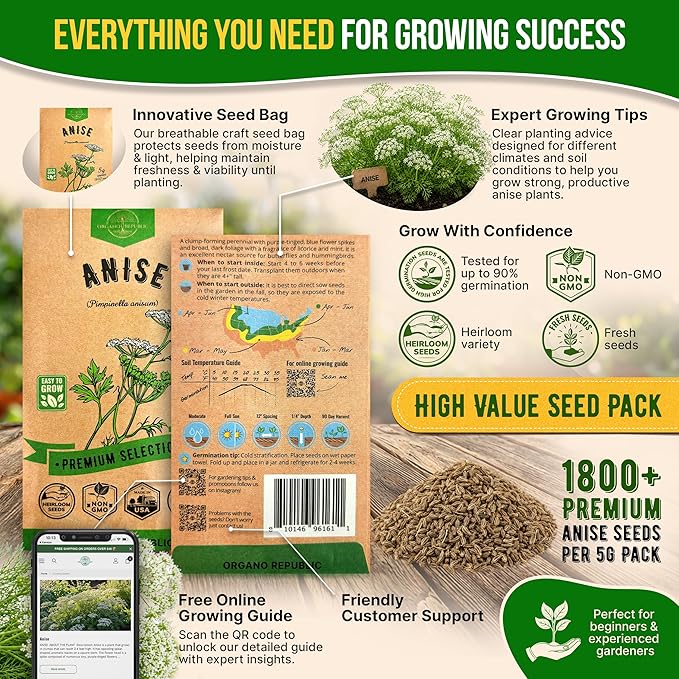 Organo Republic Anise Seeds Pack 5G - Over 1800 Non-GMO Heirloom Anise Seeds for Planting Herbs in Individual Seed Packet, Herbs Seeds for Planting Home Garden Indoor & Outdoor Gardening