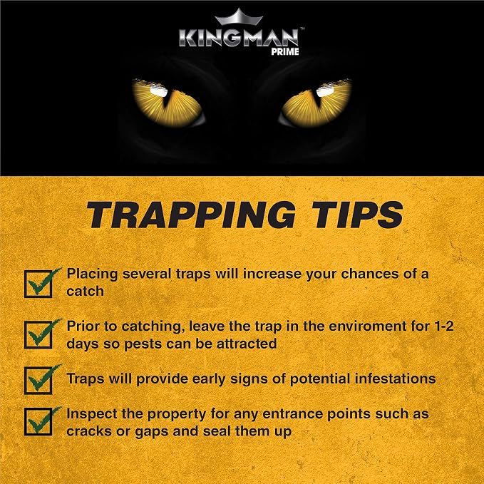 Mouse Trap Rat Trap Glue Trap/Board (Large Size) (6 Pack / 12 Traps) Rodent Trap Safe Easy Non-Toxic